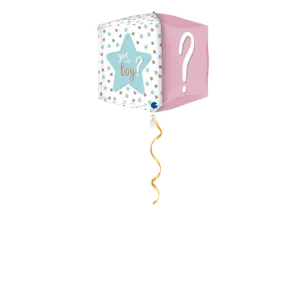 Gender Reveal Ballon - 46cm