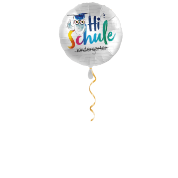 Hi Schule Eule Ballon - 43 cm