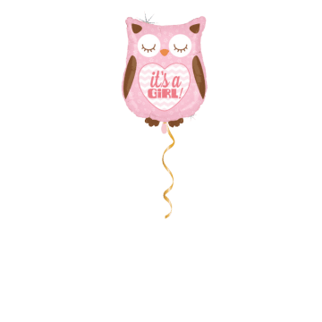 Eule Rosa Ballon - 66 cm