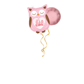 Eule Rosa Ballon-Set